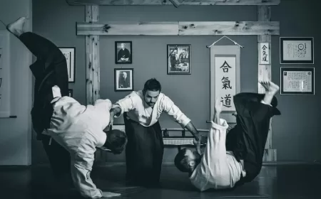 Sert Stil Aikido