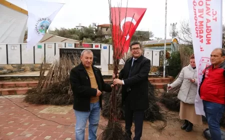 Kavaklıdere’de Cennet Elması Fidanı Dağıtımı