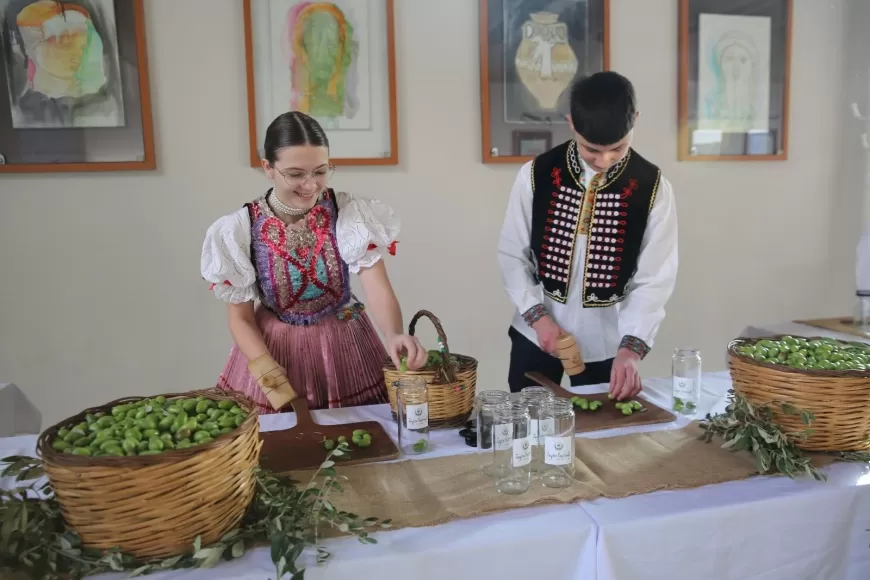 Zeytin Ağaçlarının Gölgesinde Barış ve Dostluk Buluşması