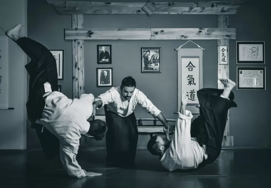 Sert Stil Aikido