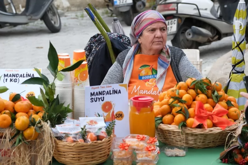 Bodrum Mandalin Festivaline Yoğun İlgi