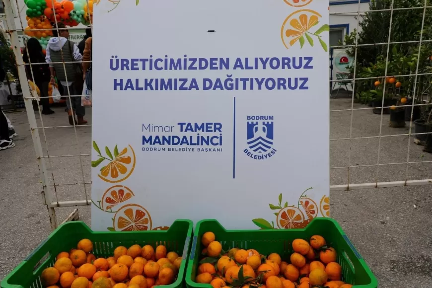 Bodrum Mandalin Festivaline Yoğun İlgi