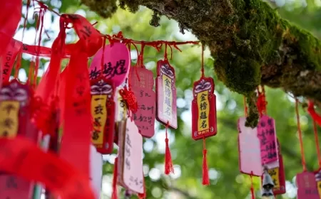 2025 Yılında Olmasın Dediklerimiz