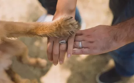 Küresel Sorun: Sadakat!