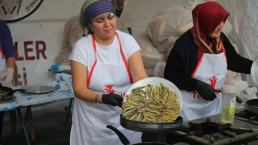 9. Bodrum Hamsi Festivali Renkli Görüntülerle Tamamlandı