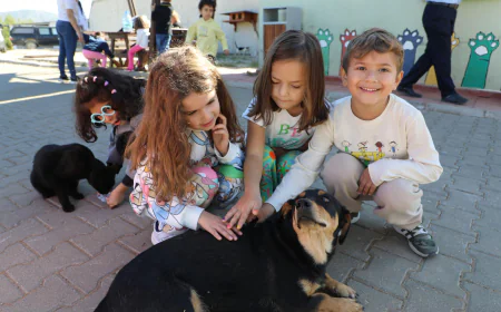 Muğla’da Can Dostlara Şefkatli Yuva: Geçici Bakımevi’nden Örnek Hizmet