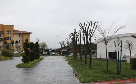 Muğla’da Ağaçlara Gençlik Aşısı: Büyükşehir’den Doğa ve Güvenlik İçin Budama Hamlesi