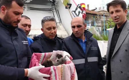 Marmaris'te Mucize Kurtuluş: Çöp Konteynerindeki Yavrulara Anne Şefkati