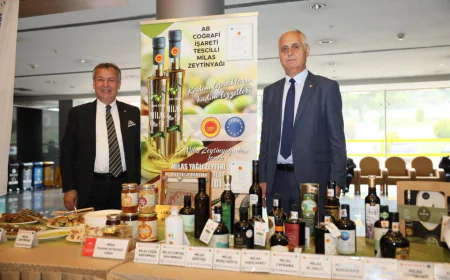 Milaslı Üreticiler Zeytinyağında Kaliteyi Taçlandırdı