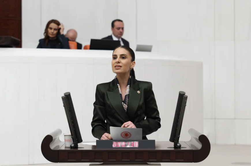 Gizem Özcan'dan Sert Çıkış: “Hayvanların Yaşam Hakkını Gasp Eden Yasa, Belediyelere Baskı Aracına Dönüştü”