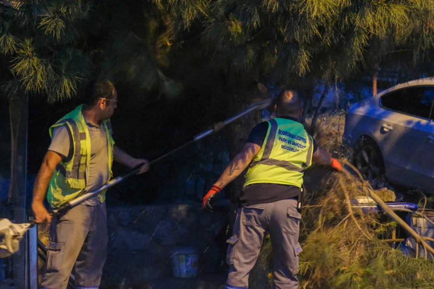 Bodrum Belediyesi Ekipleri Kurban Bayramı Öncesi Sahada
