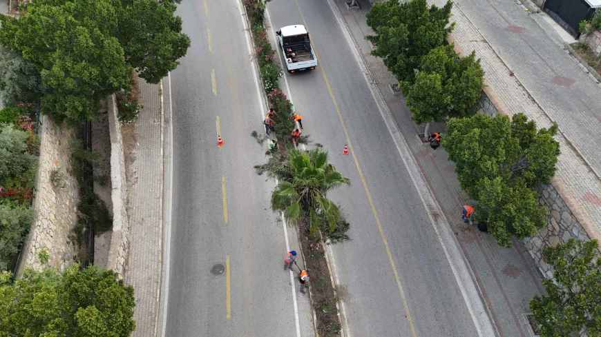 Bodrum Belediyesi Ekipleri Kurban Bayramı Öncesi Sahada