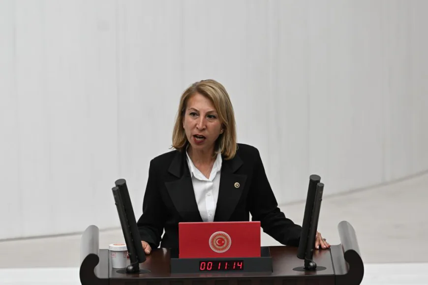 CHP'li Vekil, Dalaman’daki 10 Milyonluk Yıkımı TBMM’ye Taşıdı