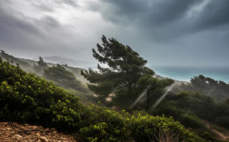 Muğla’da Fırtına Alarmı: 28 Haziran’da 70 km/saate Varan Rüzgar Bekleniyor