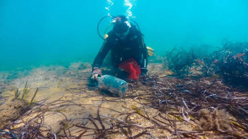 Turgutreis’te Deniz Dibi Temizliği: 62 Kilogram Atık Toplandı