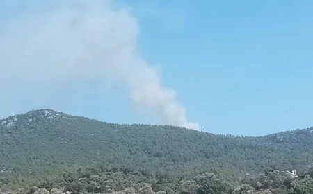 Milas Fesleğen–Demirciler Arasında Yangın İhbarı