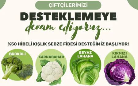 Milas Belediyesi’nden Üreticiye %50 Hibeli Kışlık Fide Desteği