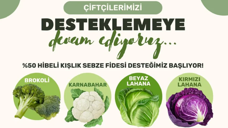 Milas Belediyesi’nden Üreticiye %50 Hibeli Kışlık Fide Desteği