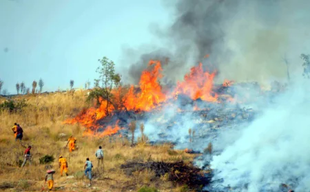 Bodrum’da Makilik Yangını Büyüyor: Evler, Siteler Tehdit Altında