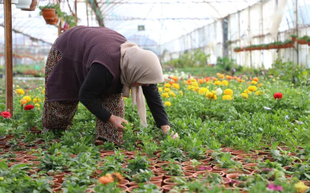 Muğla Büyükşehir’den Alım Garantili Üretimle 23 Milyon TL Tasarruf