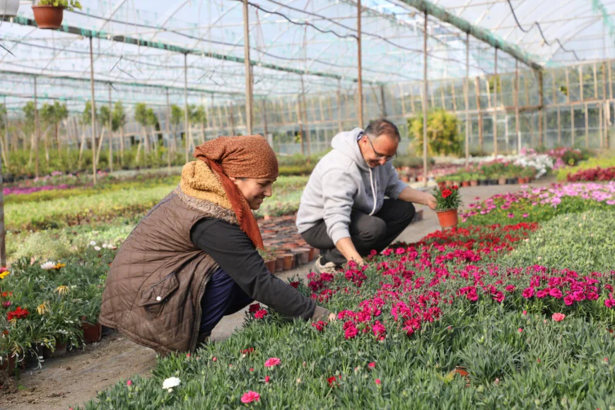 Muğla Büyükşehir’den Alım Garantili Üretimle 23 Milyon TL Tasarruf