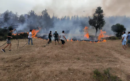 Muğla’da Anız Yangınları Alarm Veriyor: 2025’te 869 Vaka