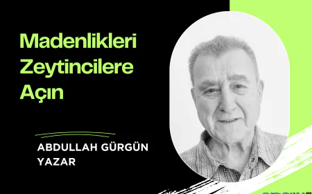 Madenlikleri Zeytincilere Açın