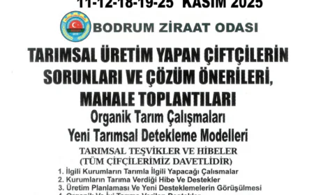 Bodrum Ziraat Odası’ndan Çiftçilere Mahalle Toplantılarıyla Bilgilendirme Desteği