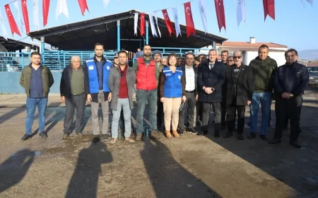 Muğla Büyükşehir Belediyesi Üreticilere Ücretsiz Mineral Blok Taşı Desteği Sağlıyor