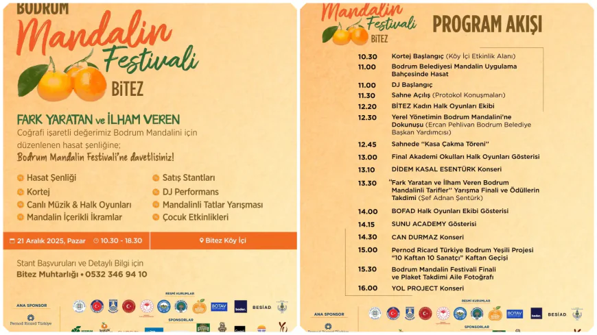Bodrum Mandalin Festivali 18. Kez Bitez’de Düzenleniyor