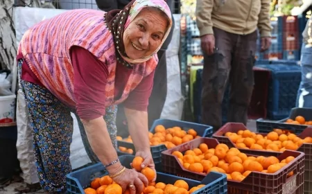 Bodrum Mandalini Yeni Satış Stratejileriyle Türkiye Genelinde Tüketiciyle Buluşuyor