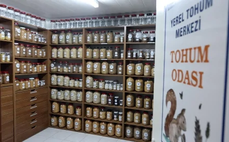 Muğla Büyükşehir Belediyesi’nden Ata Tohumu Hamlesi 3 Milyon Yerel Tohum Türkiye’ye Dağıtılacak