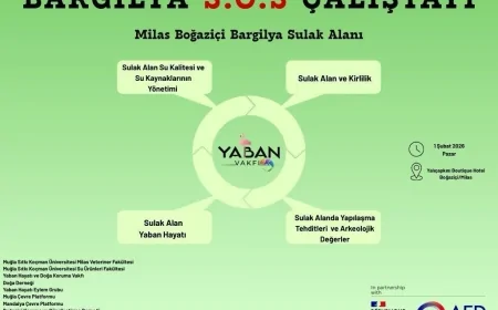 Bargilya Tuzla Sulak Alanı Yok Olma Tehdidi Altında: 1 Şubat’ta Dev Kurtarma Çalıştayı Toplanıyor