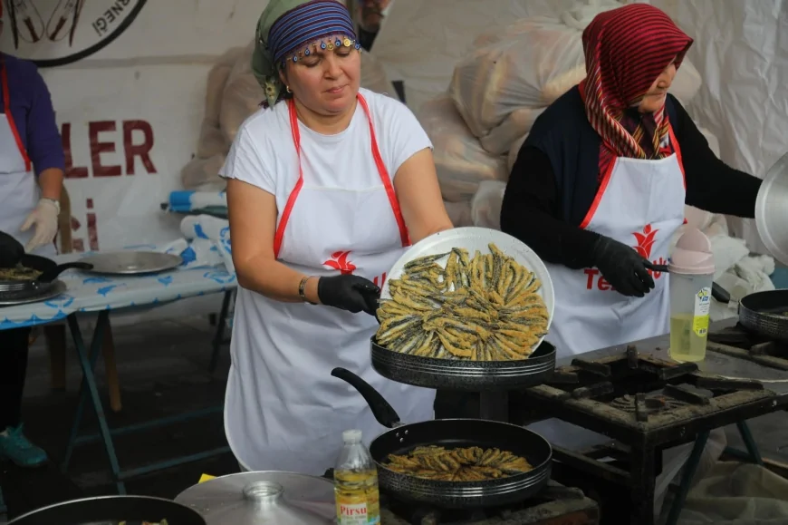 10. Bodrum Hamsi Festivali 18 Ocak’ta Bodrumlularla Buluşuyor