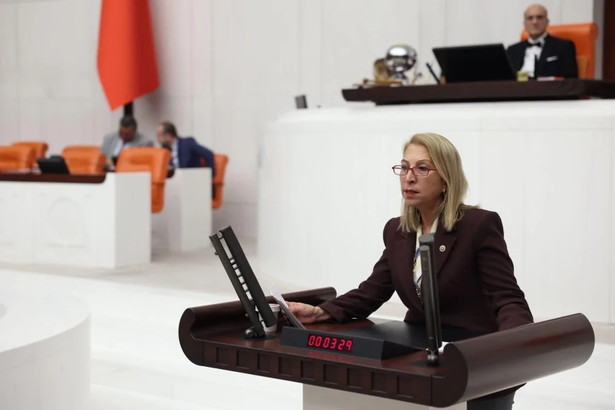 Süreyya Öneş Derici Mecliste Konuştu Muğla’daki Çevre Ve Su Sorunlarının Nedeni Yanlış Merkezi Politikalar