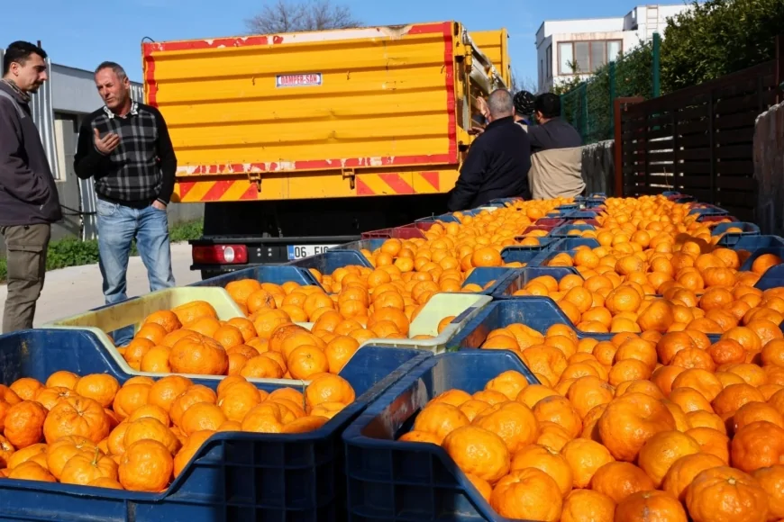 Bodrum Mandalini Yeni Satış Stratejileriyle Türkiye Genelinde Tüketiciyle Buluşuyor