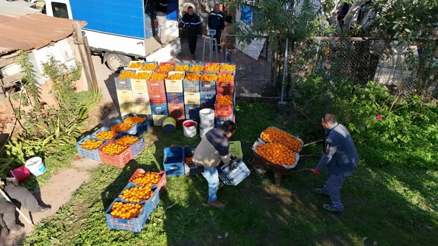 Bodrum Mandalini Yeni Satış Stratejileriyle Türkiye Genelinde Tüketiciyle Buluşuyor