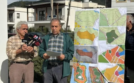 Bodrum İmar Planına TMMOB’dan Sert Tepki: Kişiye Özel Rant Ve Tarım Alanları Tehdit Altında!