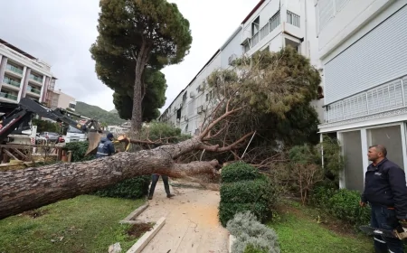 Marmaris'te 15 Günlük Fırtına Mesaisi: 220 Ağaç Devrildi 40 Kamyon Atık Toplandı