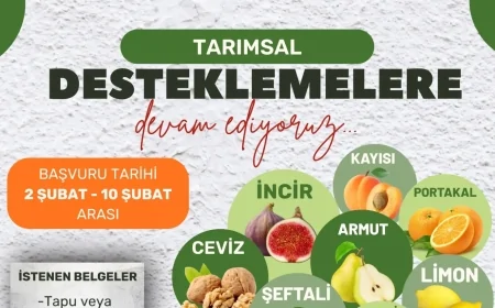 Milas Belediyesi'nden Çiftçiye Dev Destek: %50 Hibeli Fidan Başvuruları Başladı
