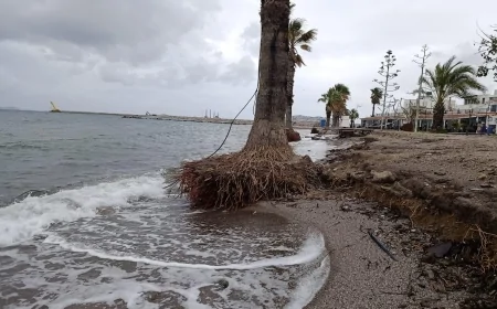 Turgutreis Kıyı Dinamikleri ve Bilimsel Değerlendirme: Gün Batımı Plajı’ndaki Doğal Değişim Süreçleri