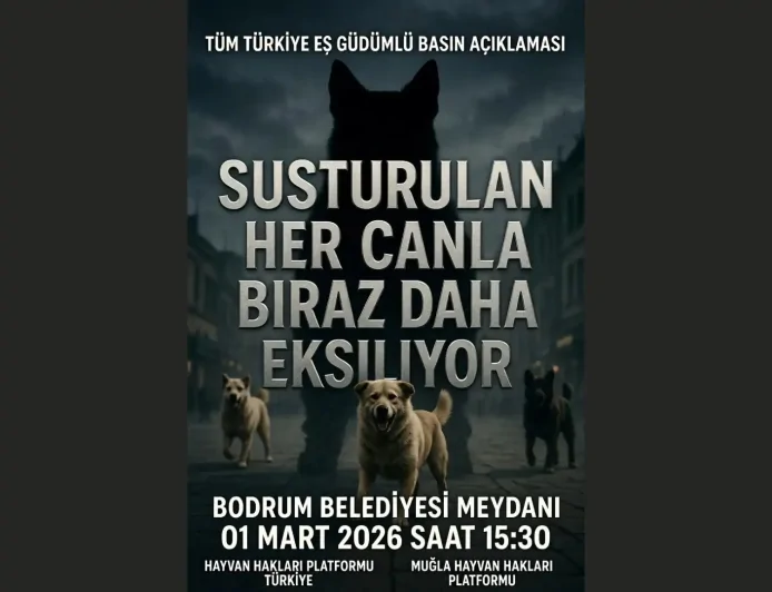 Bodrum Hayvan Hakları İçin Tek Yürek Oluyor: 1 Mart'ta Belediye Meydanı'nda Büyük Buluşma