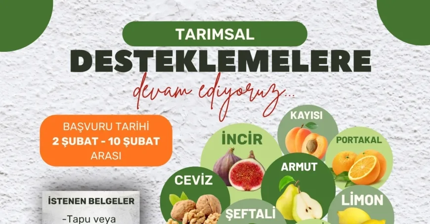 Milas Belediyesi'nden Çiftçiye Dev Destek: %50 Hibeli Fidan Başvuruları Başladı