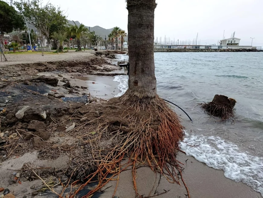 Turgutreis’te Kıyı Erozyonu Alarmı: Günbatımı Plajı 30 Metre İçeri Çekildi