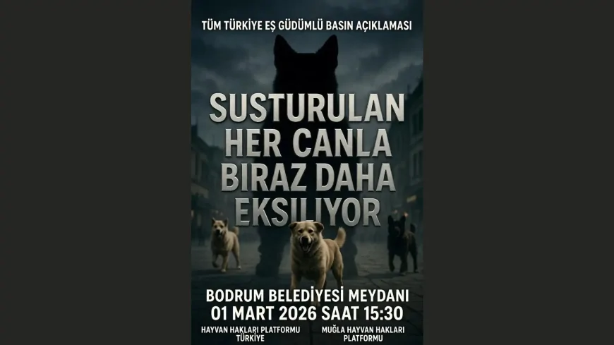 Bodrum Hayvan Hakları İçin Tek Yürek Oluyor: 1 Mart'ta Belediye Meydanı'nda Büyük Buluşma