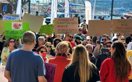 Sokak Hayvanları İçin Tarihi Buluşma: Bodrum Belediye Meydanı’ndan Kısırlaştır Aşılat Yerinde Yaşat Çağrısı