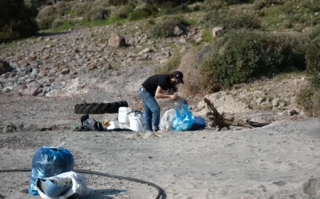 Bodrum’da Örnek Davranış: Tilkişen Toplamaya Giden Vatandaşlar Haremten Koyu’nu Temizledi