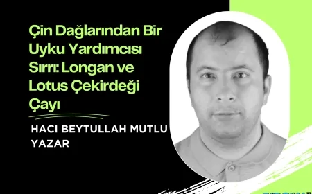 Çin Dağlarından Bir Uyku Yardımcısı Sırrı: Longan ve Lotus Çekirdeği Çayı