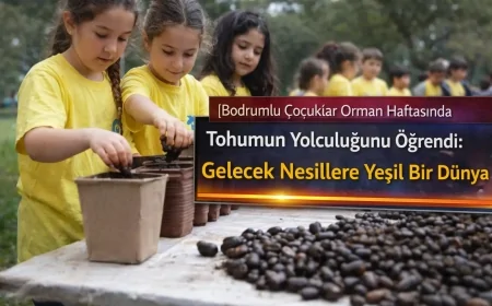 Bodrumlu Çocuklar Orman Haftasında Tohumun Yolculuğunu Öğrendi: Gelecek Nesillere Yeşil Bir Dünya