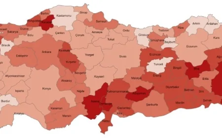 2025 Yılı İşgücü İstatistikleri Açıklandı: İşsizlik Oranı Yüzde 8,3 Seviyesine Geriledi